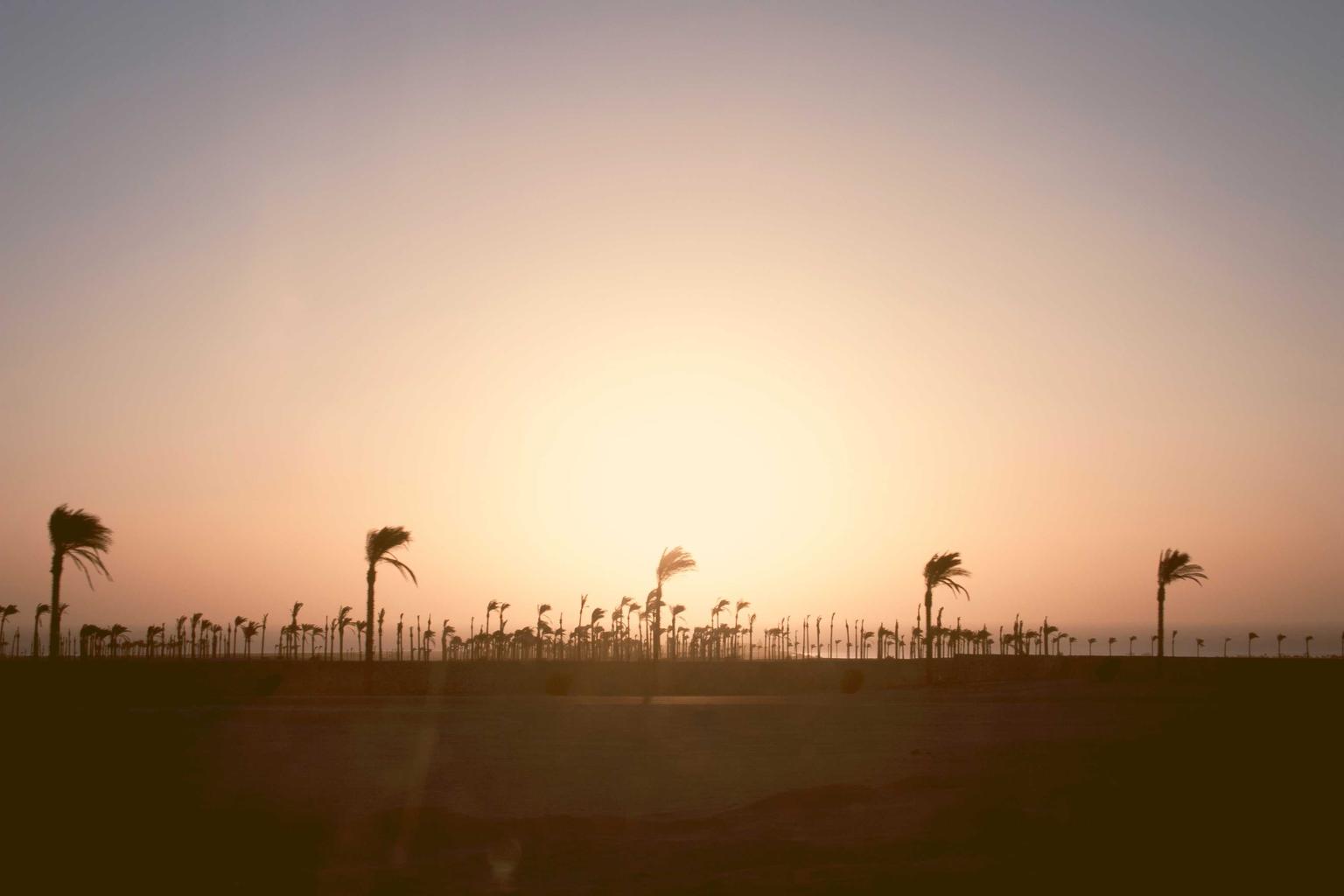 Inteligencia artificial en tendencia: impacto actual