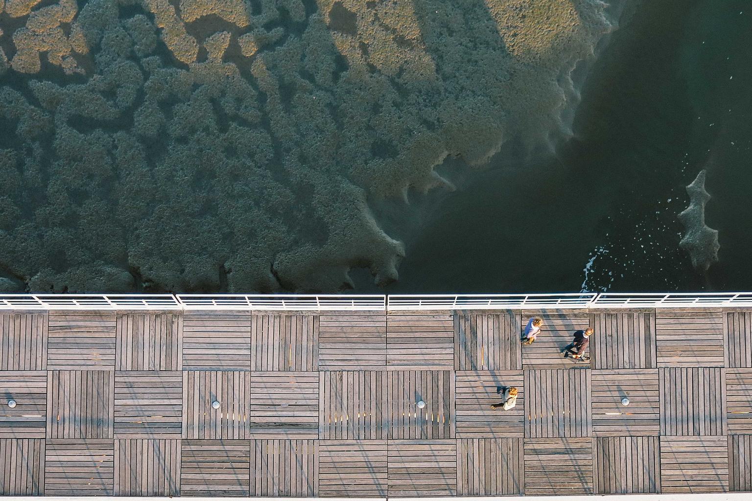 Porto vs Moreirense en el partido de Liga Portugal