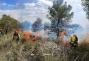 Sierra Espuña en llamas: Incendio descontrolado avivado por el viento obliga a desalojos