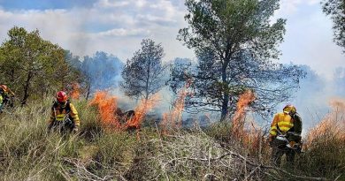 Sierra Espuña en llamas: Incendio descontrolado avivado por el viento obliga a desalojos