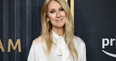 Celine Dion anuncia su regreso a los escenarios en París tras dura batalla Celine Dion anuncia su regreso a los escenarios en París tras dura batalla