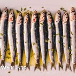 Sardinas en lata: Nueva normativa de calidad y sorpresas en tu despensa