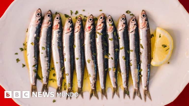 Sardinas en lata: Nueva normativa de calidad y sorpresas en tu despensa