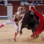 Ferrera triunfa: Faena cumbre desata la locura en la plaza