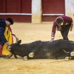 Ayuso logra mayoría absoluta en Madrid por la mínima: PP gobernará en solitario
