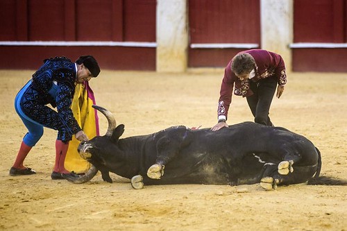 Ayuso logra mayoría absoluta en Madrid por la mínima: PP gobernará en solitario