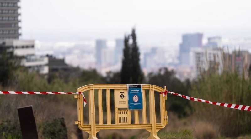 Peste Porcina Africana: Alerta Máxima en Barcelona tras detectar 3 jabalíes infectados