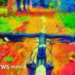 Albert Hofmann y el LSD: el químico que descubrió la sustancia y su primer viaje en bicicleta