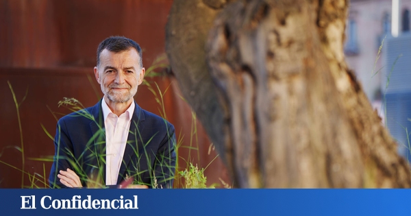 Antonio Maíllo se hunde: pierde el liderazgo de la izquierda en Andalucía y el sanchismo le pasa factura