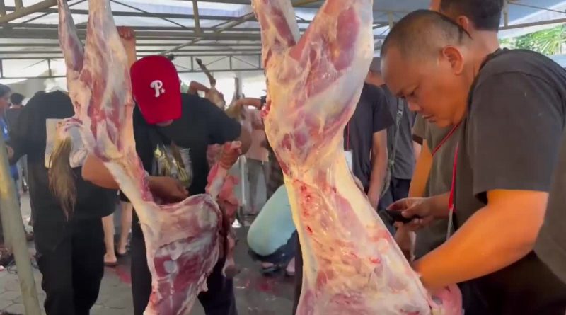Bali: El paraíso digital se ahoga en postureo y masificación