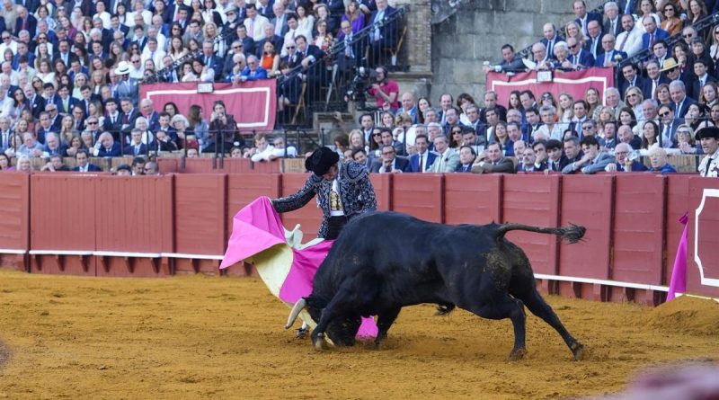 Canal Sur lidera la noche electoral andaluza con récord de audiencia