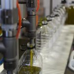 Marruecos revoluciona el aceite de oliva español: de productor a cuarto proveedor