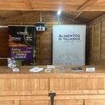 Ayudas antiokupación y caos por lluvias en Alicante: la jornada más convulsa