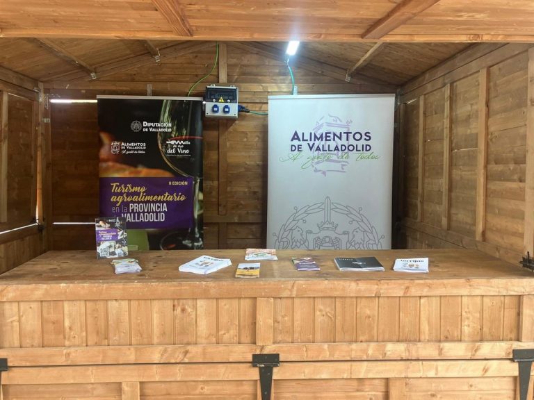 Ayudas antiokupación y caos por lluvias en Alicante: la jornada más convulsa