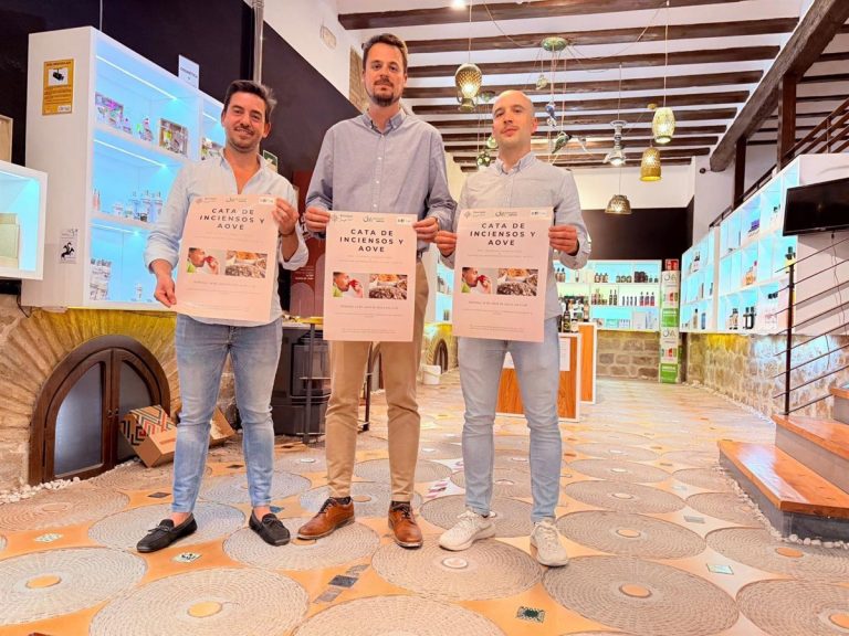 Aceite de oliva virgen extra: el precio se desploma en mayo 2026