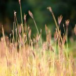 Alerta Roja: Señales que tu cuerpo te envía antes del colapso