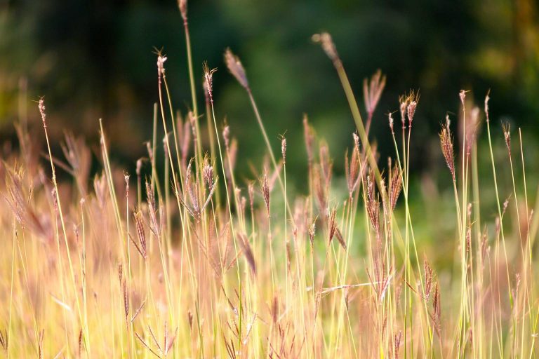 Alerta Roja: Señales que tu cuerpo te envía antes del colapso