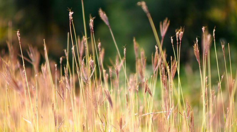 Alerta Roja: Señales que tu cuerpo te envía antes del colapso