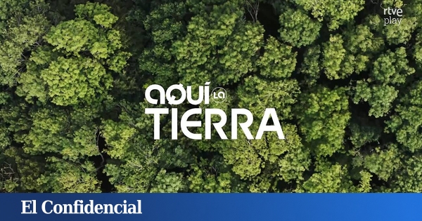 RTVE produce sus magacines: adiós a productoras externas y millones de ahorro