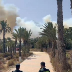 Incendio Forestal La Azohía: Fuego en Palmeral San Ginés | Última Hora Murcia