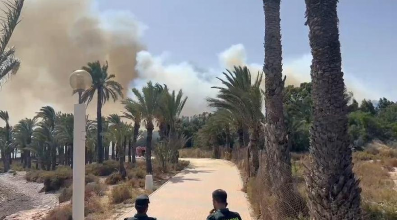 Incendio Forestal La Azohía: Fuego en Palmeral San Ginés | Última Hora Murcia