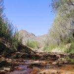Alerta Sanitaria en España: Hantavirus y Barreras en el Acceso a la Sanidad Pública