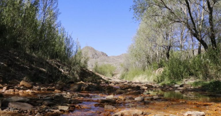 Alerta Sanitaria en España: Hantavirus y Barreras en el Acceso a la Sanidad Pública