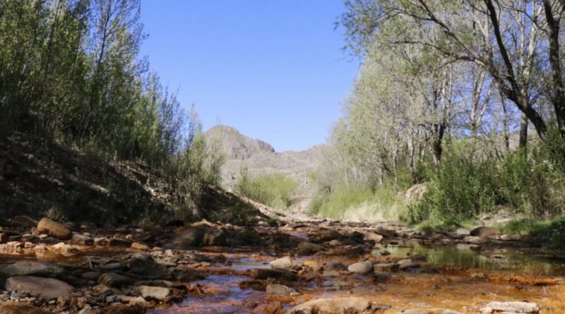 Alerta Sanitaria en España: Hantavirus y Barreras en el Acceso a la Sanidad Pública