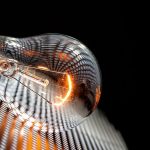 Precio de la luz: ¿Pagas de más por tu potencia contratada? Descubre cómo evitarlo