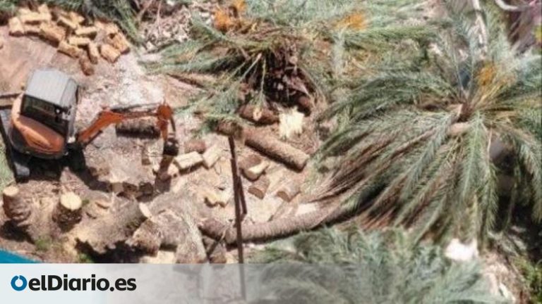 Valencia: Desalojo masivo para un hotel de lujo en el Botànic