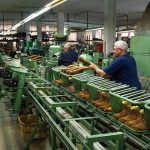 FP: La clave del empleo en España | Titulares OKDiario
