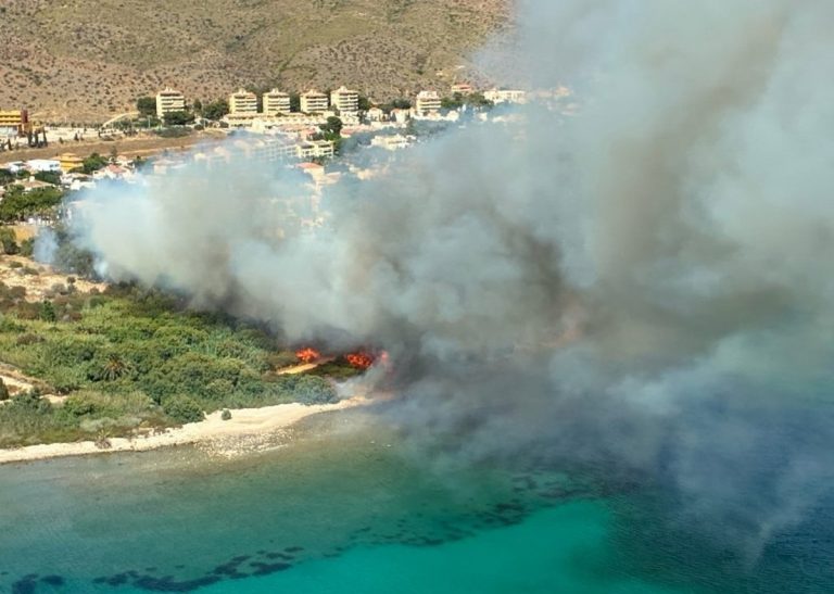 Incendio en Cartagena: 98 hectáreas calcinadas en Cabo Tiñoso tras 12 horas de lucha