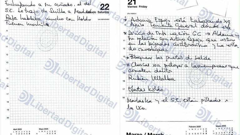 Marlaska y ex-secretario de Estado, 'pillados' por la UCO en agenda socialista