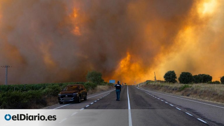 Incendio Madrid y Ávila estabilizado: la alerta se traslada a Zamora