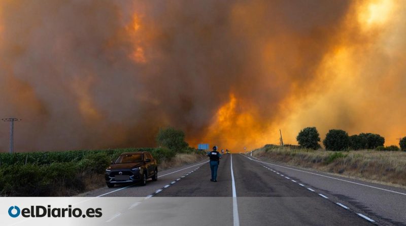 Incendio Madrid y Ávila estabilizado: la alerta se traslada a Zamora