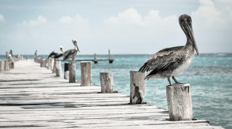 Precio de la Luz: Claves para Entender las Bajadas y Subidas del Mercado Eléctrico