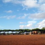 Italia, reflejo de la crisis europea: Migración y economía en el foco