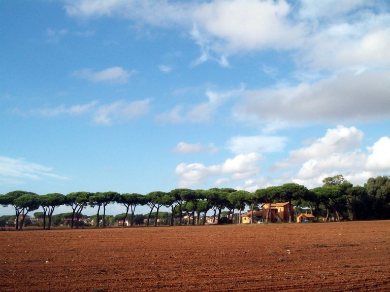 Italia, reflejo de la crisis europea: Migración y economía en el foco