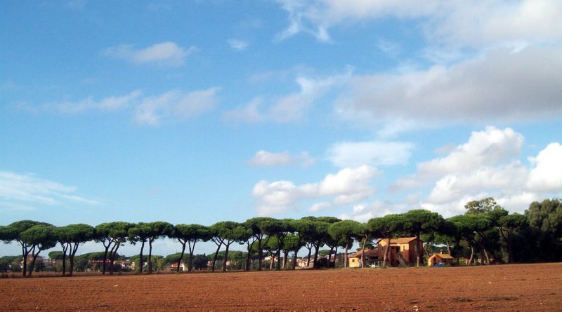 Italia, reflejo de la crisis europea: Migración y economía en el foco