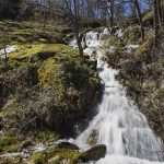 Sequía en España: El campo pide agua, la ciudad derrocha