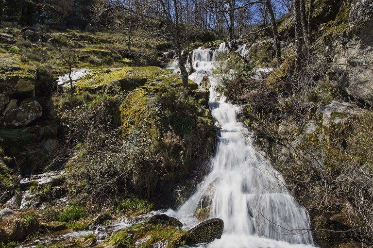 Sequía en España: El campo pide agua, la ciudad derrocha