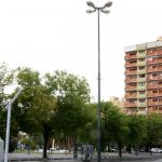 Aceite de oliva España: precios récord y recuperación económica en julio 2026
