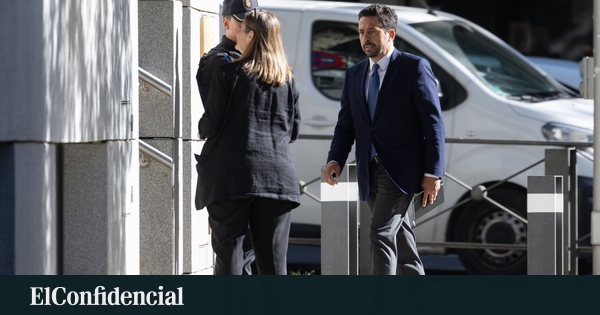 Cristina Narbona declara ante el juez por el 'caso Leire': "No conocía la trama"