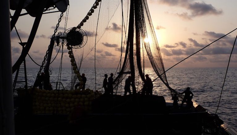 Empleo en España: La pesca se hunde, pero el turismo y la moda crecen