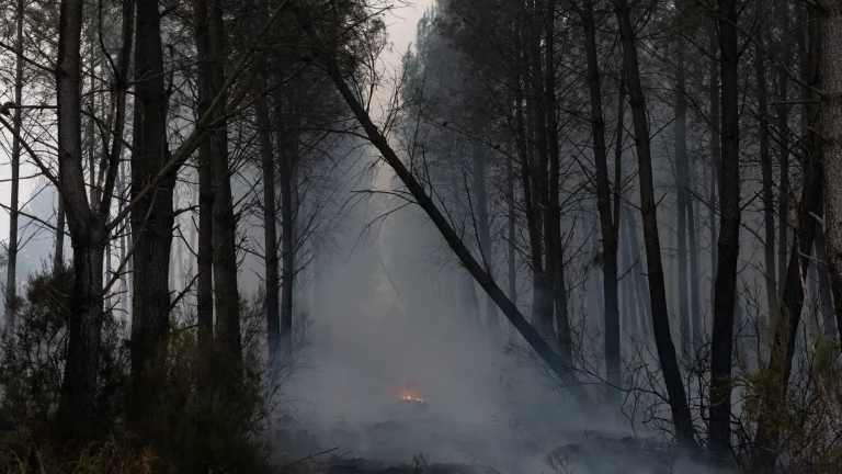 Incendio Ávila: Situación favorable tras días de infierno en Burgohondo | OKDiario