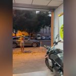 Kiko Rivera: Tranquilo y sonriente ante las cámaras tras el shock de Cantora