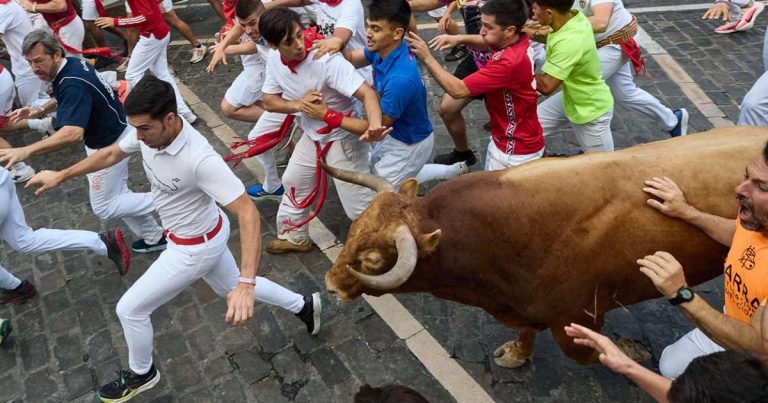 San Fermín 2026: Miura deja 8 heridos y una insólita vuelta al ruedo en el penúltimo encierro