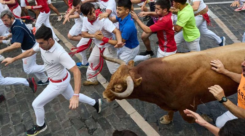 San Fermín 2026: Miura deja 8 heridos y una insólita vuelta al ruedo en el penúltimo encierro