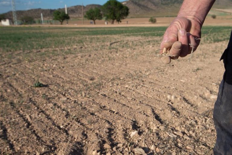 El Niño vuelve: riesgo de inflación y clima extremo en España