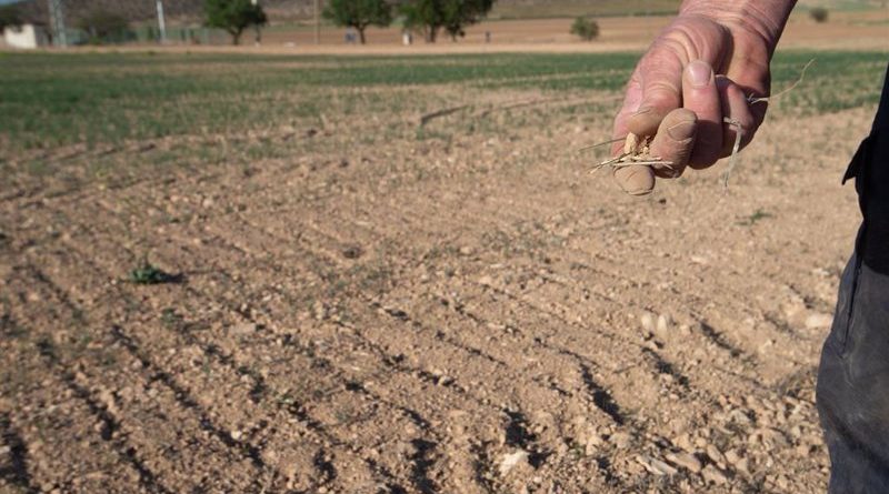 El Niño vuelve: riesgo de inflación y clima extremo en España